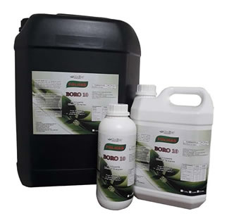 Folhas Boro 10