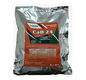 Cab 24