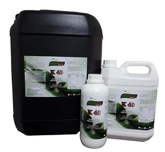 Folhas K40