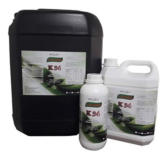 Folhas K34