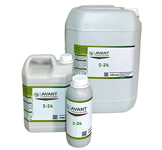 Avant S24